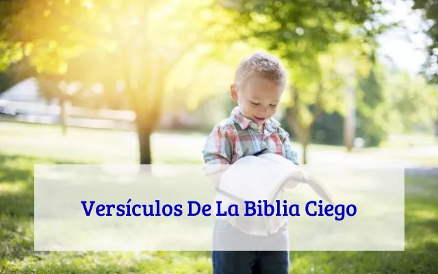 Versículos De La Biblia Ciego
