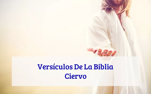Versículos De La Biblia Ciervo