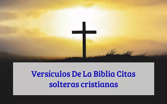 Versículos De La Biblia Citas solteras cristianas