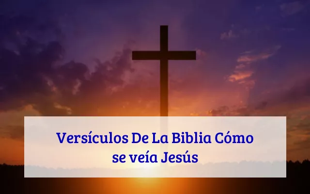 Versículos De La Biblia Cómo se veía Jesús