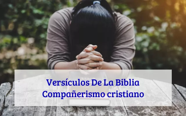 Versículos De La Biblia Compañerismo cristiano