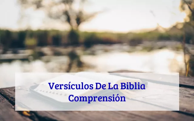 Versículos De La Biblia Comprensión