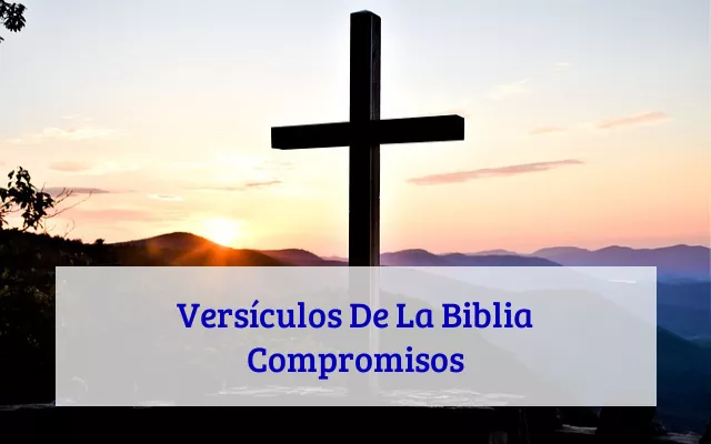 Versículos De La Biblia Compromisos