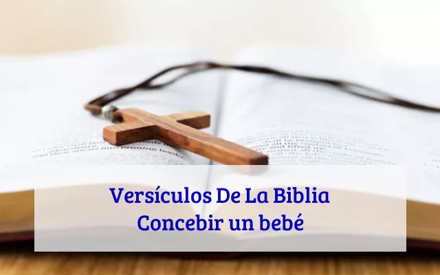 Versículos De La Biblia Concebir un bebé