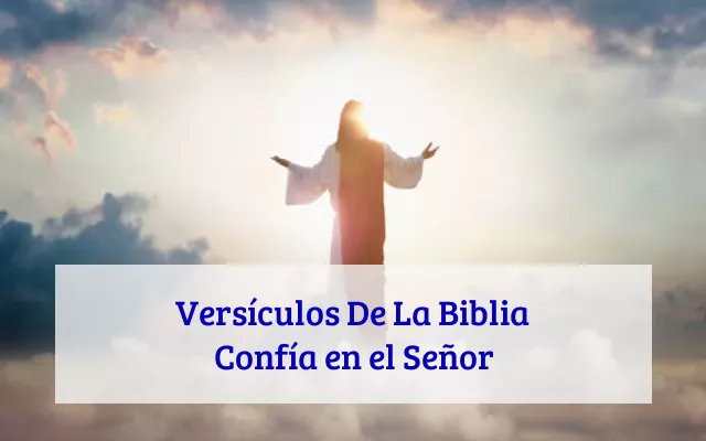 Versículos De La Biblia Confía en el Señor
