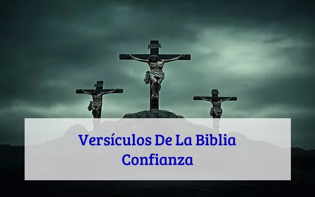 Versículos De La Biblia Confianza