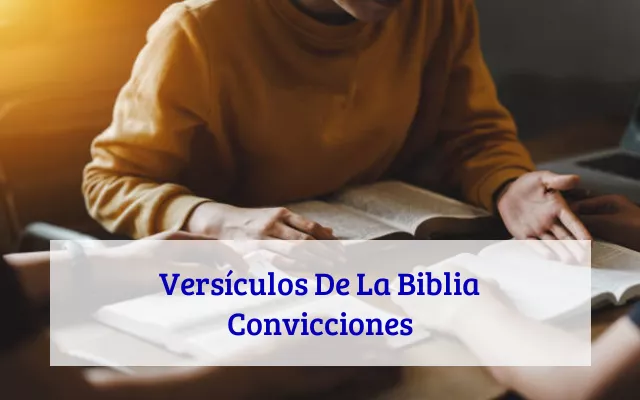 Versículos De La Biblia Convicciones