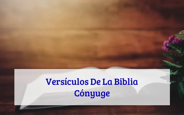 Versículos De La Biblia Cónyuge