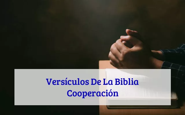 Versículos De La Biblia Cooperación