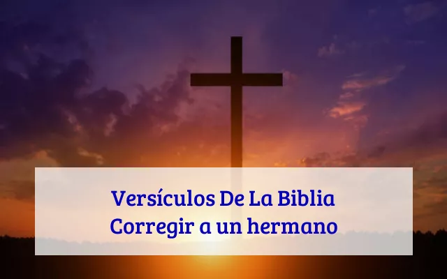 Versículos De La Biblia Corregir a un hermano