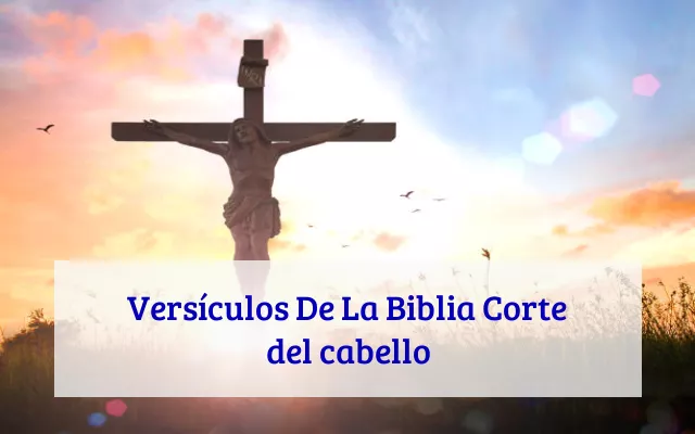 Versículos De La Biblia Corte del cabello