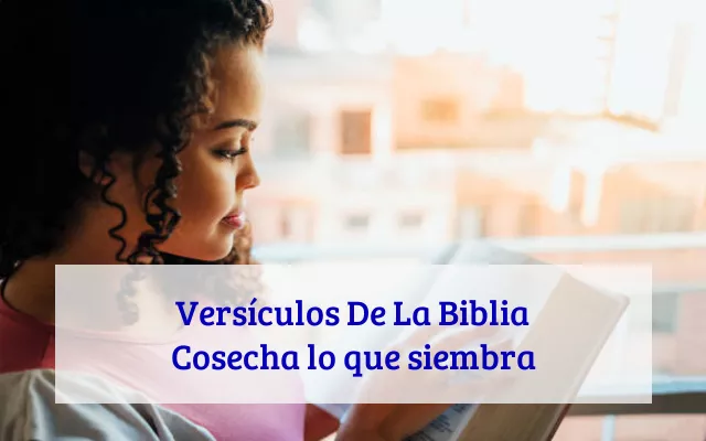 Versículos De La Biblia Cosecha lo que siembra