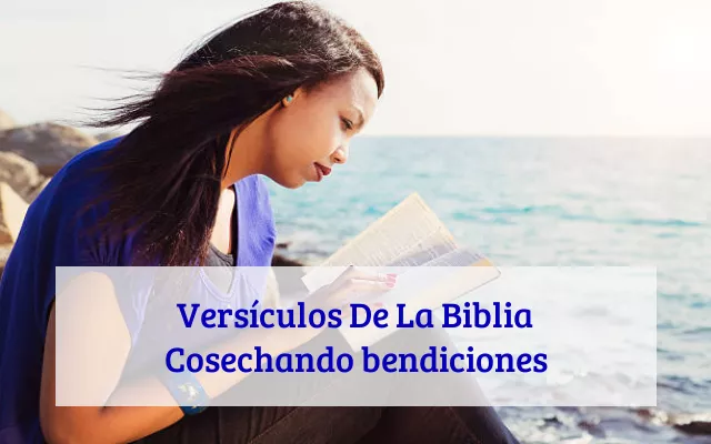 Versículos De La Biblia Cosechando bendiciones