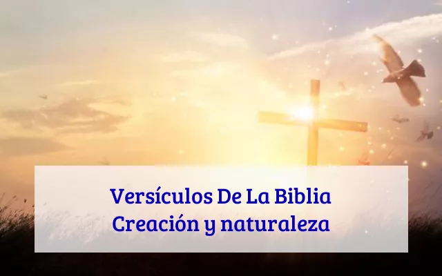 Versículos De La Biblia Creación y naturaleza