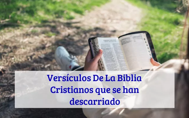 Versículos De La Biblia Cristianos que se han descarriado