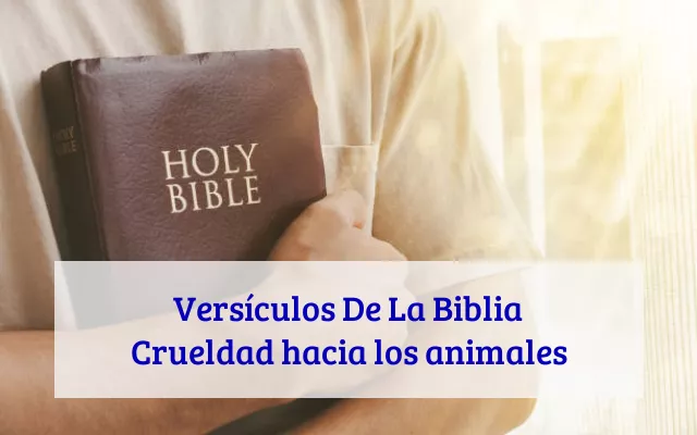 Versículos De La Biblia Crueldad hacia los animales