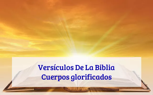 Versículos De La Biblia Cuerpos glorificados