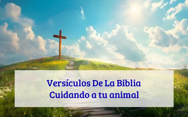 Versículos De La Biblia Cuidando a tu animal