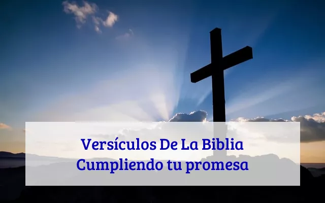 Versículos De La Biblia Cumpliendo tu promesa