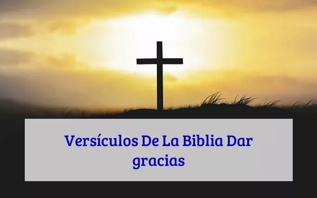 Versículos De La Biblia Dar gracias