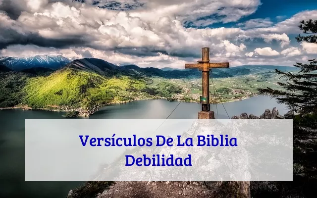 Versículos De La Biblia Debilidad