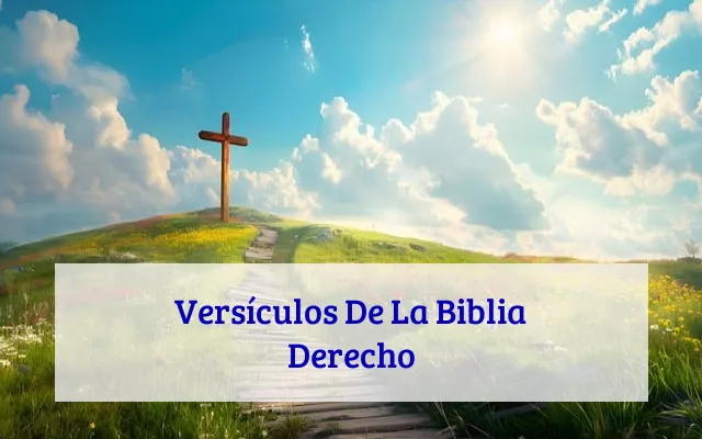 Versículos De La Biblia Derecho