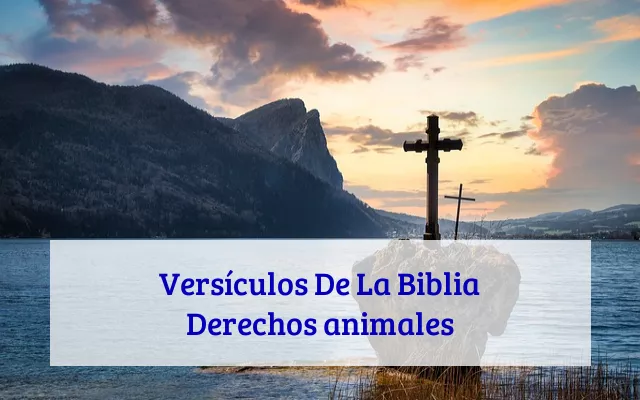 Versículos De La Biblia Derechos animales