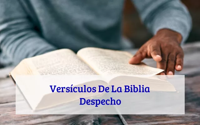 Versículos De La Biblia Despecho