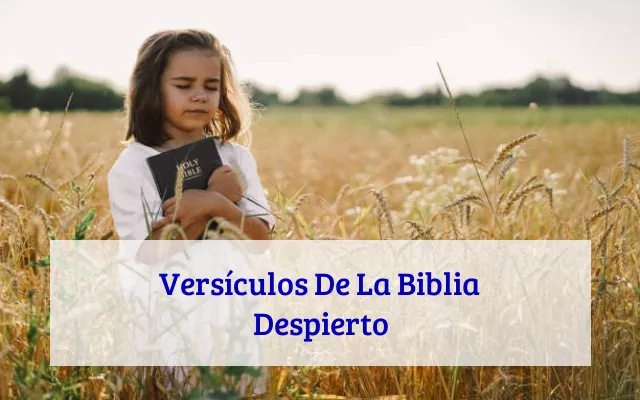 Versículos De La Biblia Despierto