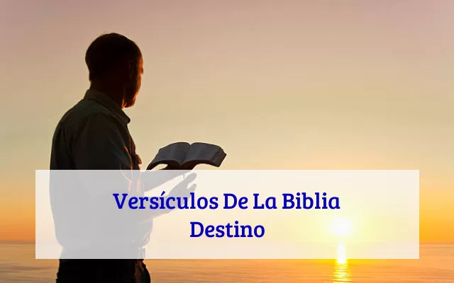 Versículos De La Biblia Destino
