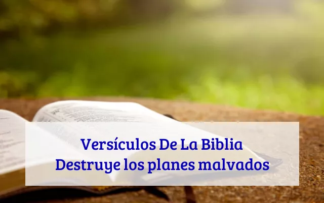 Versículos De La Biblia Destruye los planes malvados
