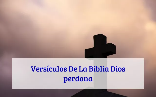 Versículos De La Biblia Dios perdona