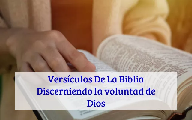 Versículos De La Biblia Discerniendo la voluntad de Dios