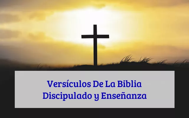 Versículos De La Biblia Discipulado y Enseñanza