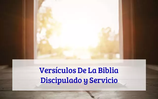 Versículos De La Biblia Discipulado y Servicio