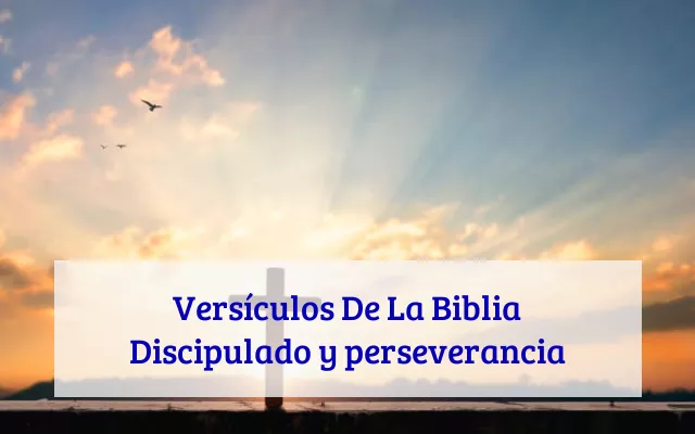 Versículos De La Biblia Discipulado y perseverancia