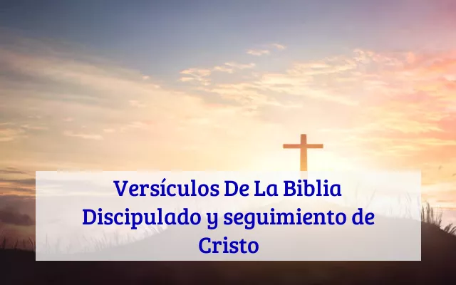 Versículos De La Biblia Discipulado y seguimiento de Cristo
