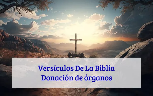 Versículos De La Biblia Donación de órganos