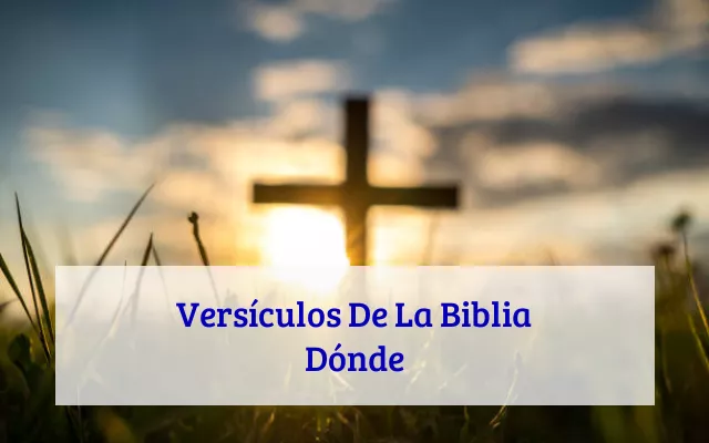 Versículos De La Biblia Dónde