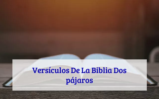 Versículos De La Biblia Dos pájaros
