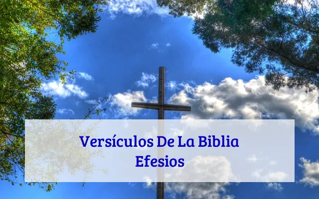 Versículos De La Biblia Efesios