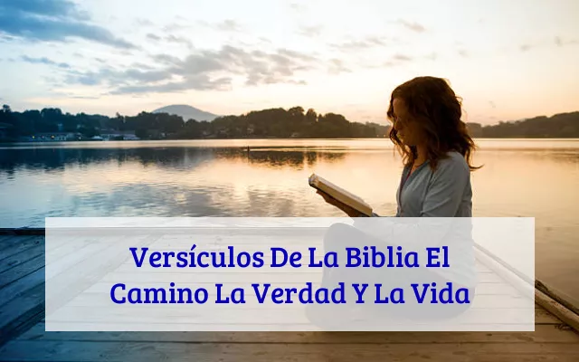 Versículos De La Biblia El Camino La Verdad Y La Vida