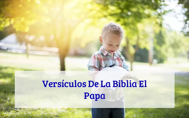 Versículos De La Biblia El Papa