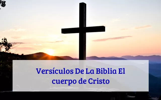Versículos De La Biblia El cuerpo de Cristo
