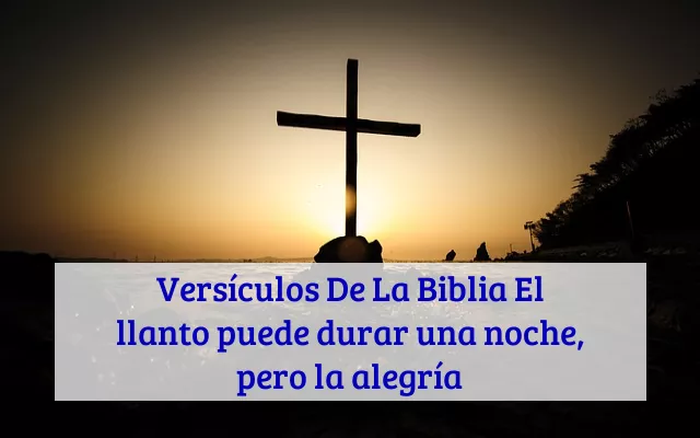 Versículos De La Biblia El llanto puede durar una noche, pero la alegría