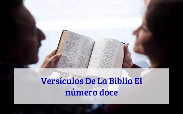 Versículos De La Biblia El número doce