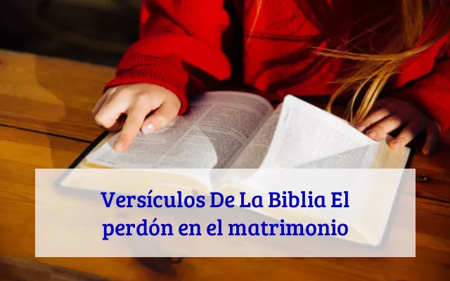 Versículos De La Biblia El perdón en el matrimonio