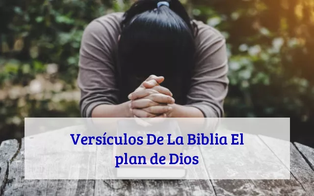 Versículos De La Biblia El plan de Dios