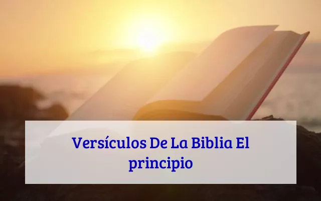 Versículos De La Biblia El principio