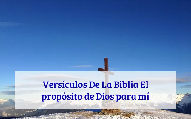 Versículos De La Biblia El propósito de Dios para mí